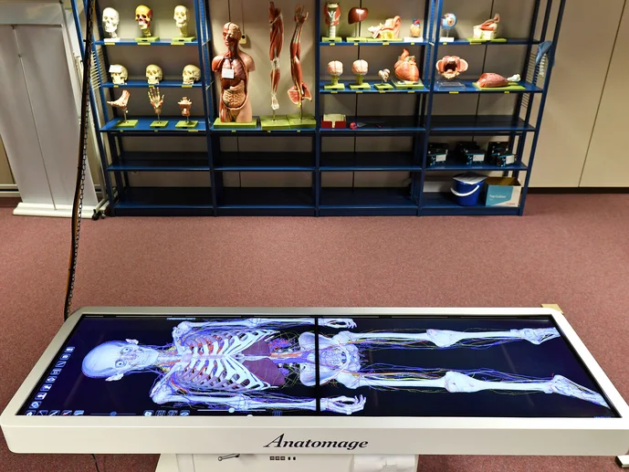 Digitaler Seziertisch und Anatomiemodelle